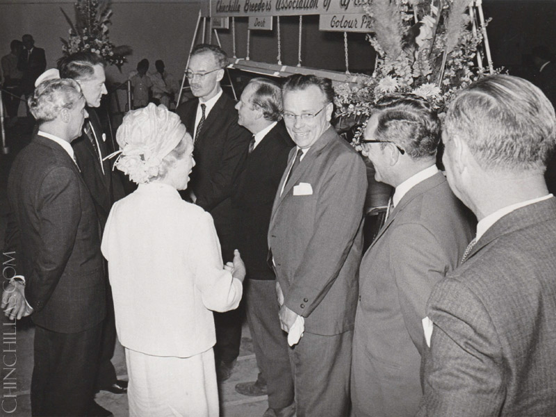 violet chinchilla Gillingham Rhodesia Africa Chinchilla Breeders Association Ian Smith